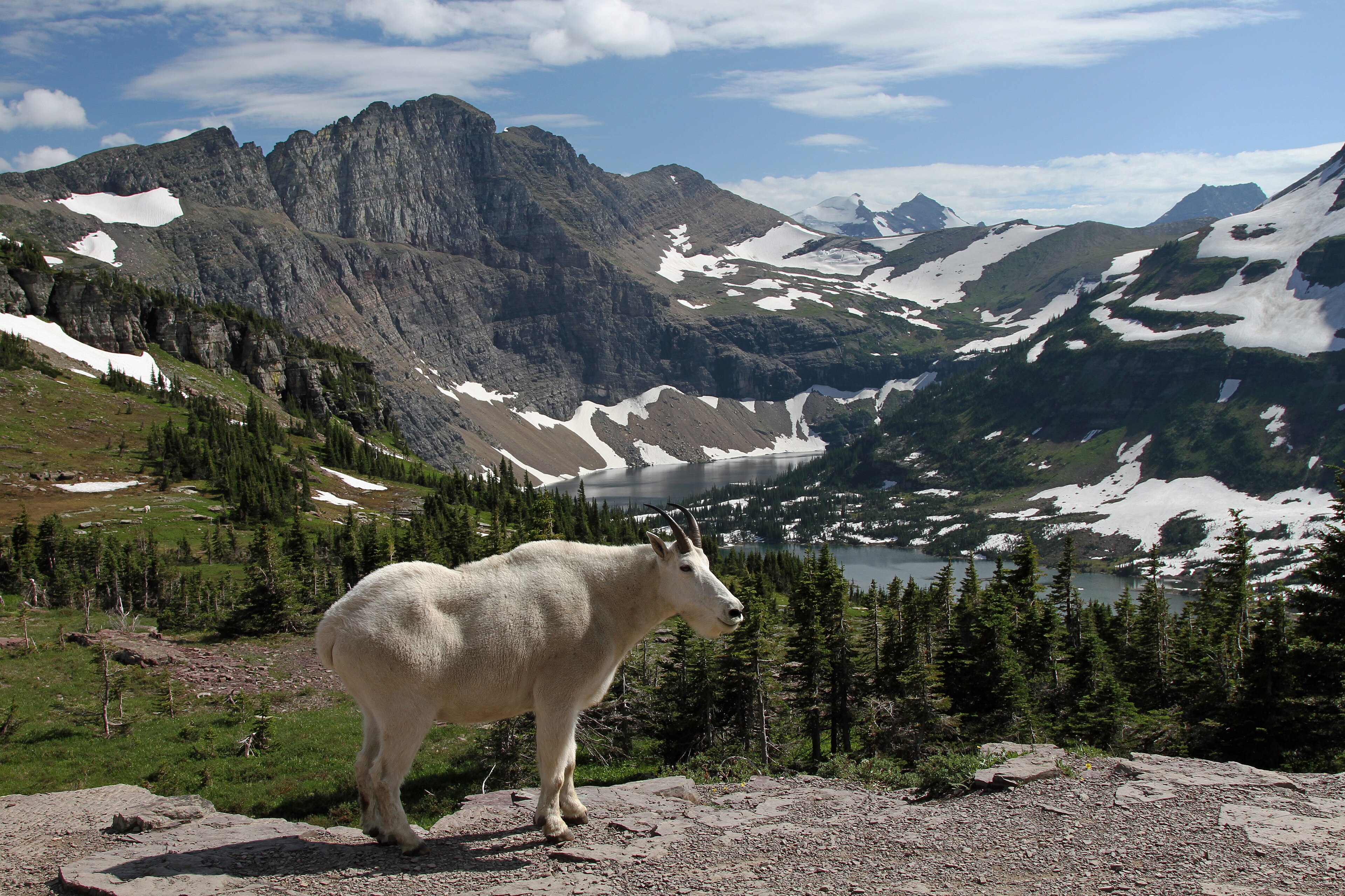 Glacier National Park Climate Change Science Removed